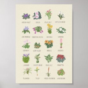Planten voor gebruik binnenshuis + Names Gardener  Poster