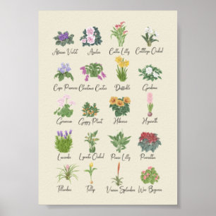 Planten voor gebruik binnenshuis + Names Gardener  Poster