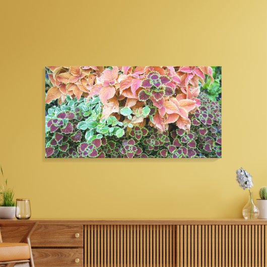 Planten voor kleurrijke regenboog canvas afdruk (Insitu (Woonkamer))