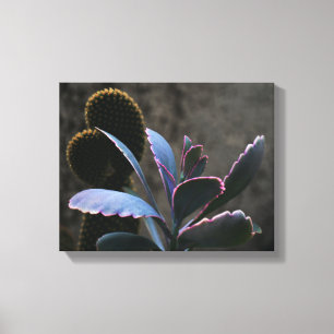 Planten woestijn canvas afdruk
