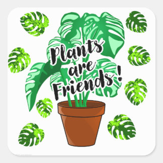 Planten zijn Vrienden Potted Monstera sticker