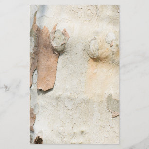 Plantenboomcamouflage ziet uit op barstpatroon flyer