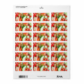 Plantensalade Etiket (Full Sheet)