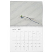 Plantes au calendrier Shore (Jan 2027)
