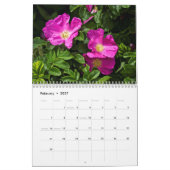 Plantes au calendrier Shore (Feb 2027)