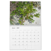 Plantes au calendrier Shore (Mar 2027)