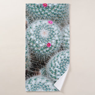 Plantes de cactus aux minuscules fleurs roses