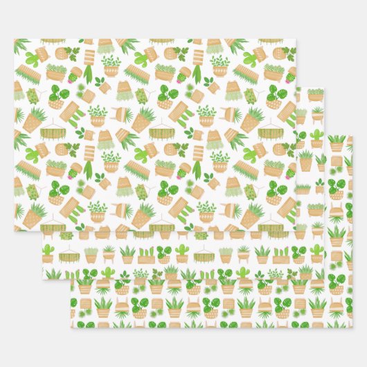 Plantes de la Maison Cactus sur les feuilles de pa (Lot)