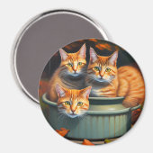 Plantes de pots de chats de gingembre, Aimant frig (Recto/Verso)