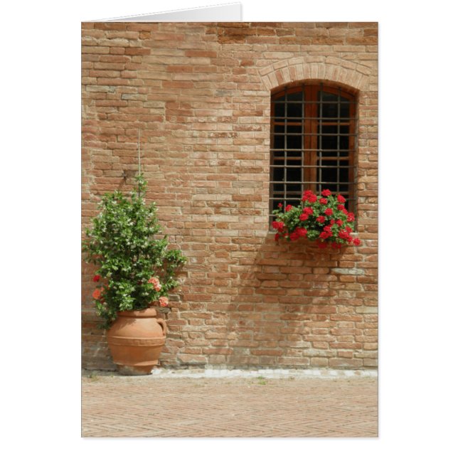 Plantes en pot de la Toscane (Devant)