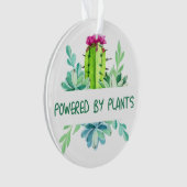 Plantes et fleurs (devant)