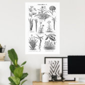  plantgoed, botanisch Duits Poster (Thuiskantoor)