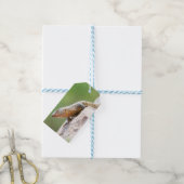 Planthagedis Cadeaulabel (Met Touw)