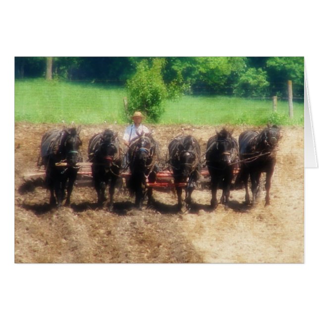 Plantijd (Voorkant Horizontaal)