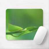 PlantWalker Muismat (Met muis)