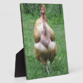 Plaque 8"x 10" de Turken Hen (Côté)