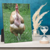 Plaque 8"x 10" de Turken Hen (Côté)