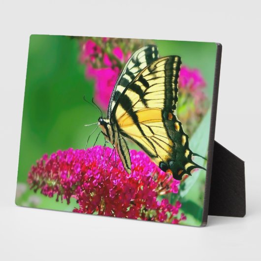 Plaque à papillon Art déco (Côté)