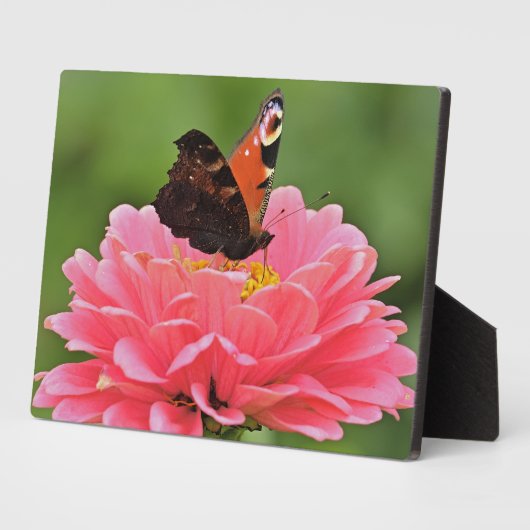 Plaque à papillon Art déco (Côté)