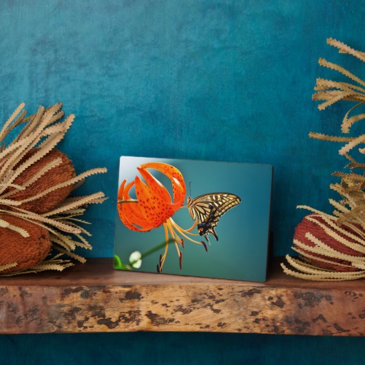 Plaque à papillon Art déco (Côté)