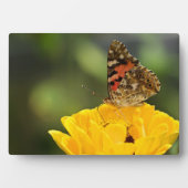 Plaque à papillon Art déco (Devant)