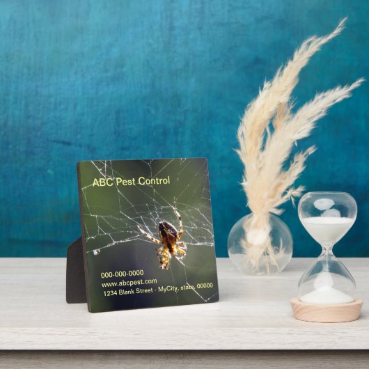 Plaque - Araignée (Insitu)