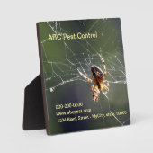 Plaque - Araignée (Recto)