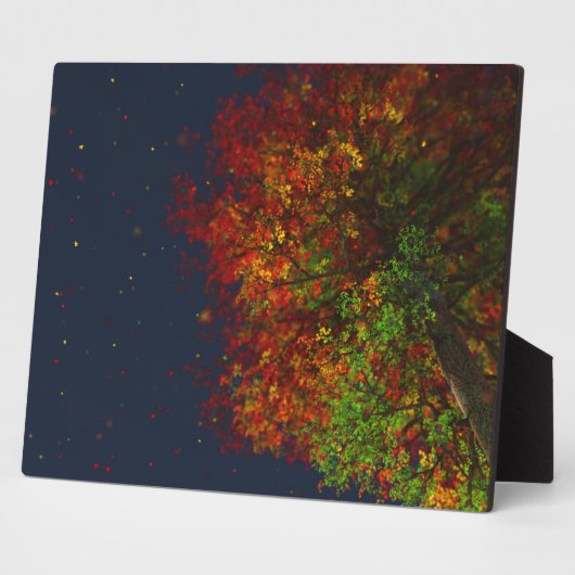 Plaque Arc-en-ciel en chute (Côté)