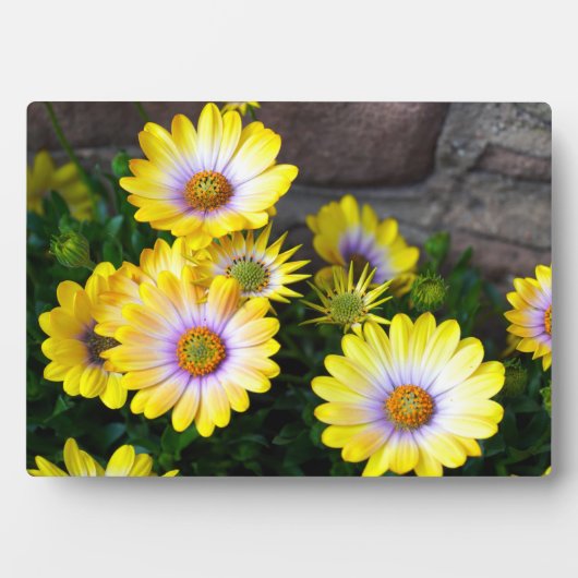 Plaque Art Décor (Devant)