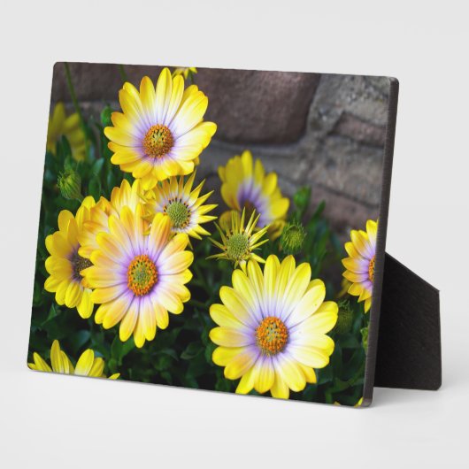 Plaque Art Décor (Côté)