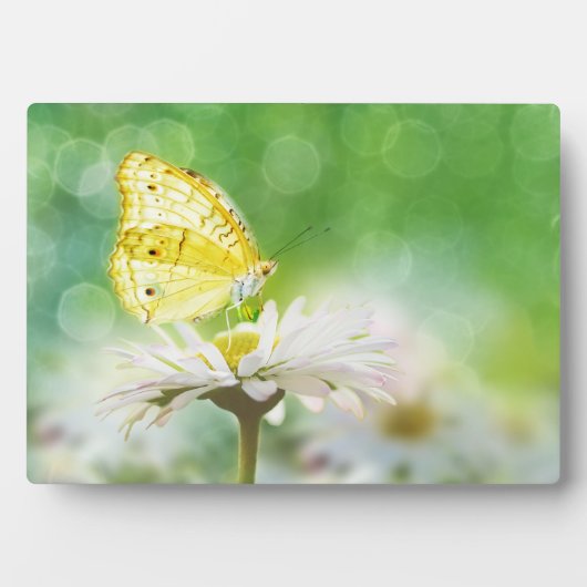 Plaque Art Décor Papillon (Devant)