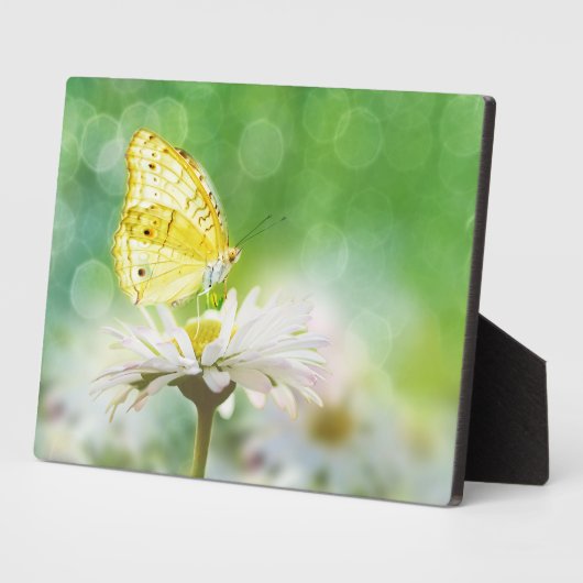 Plaque Art Décor Papillon (Côté)