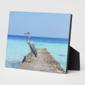 Plaque Art Décor Sea Bird (Côté)