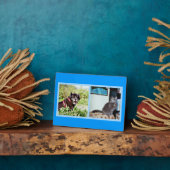 Plaque avec des images de animal (Côté)