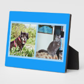 Plaque avec des images de animal (Côté)