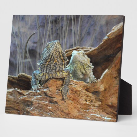 Plaque avec deux lézards curieux (Côté)