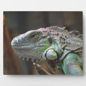Plaque avec tête de lézard Iguana coloré (Devant)