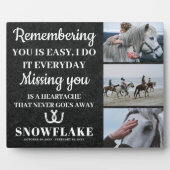 Plaque commémorative équine avec photo et citation (Devant)