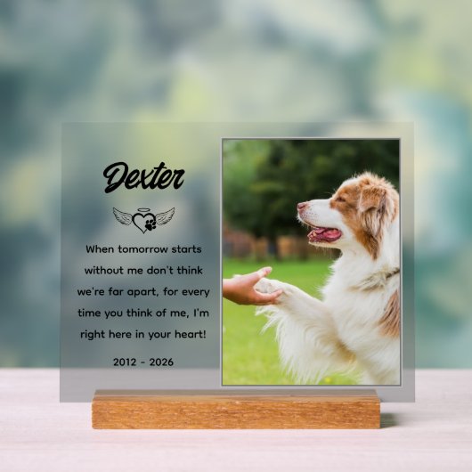 Plaque commémorative personnalisée pour animaux de (Neutre)