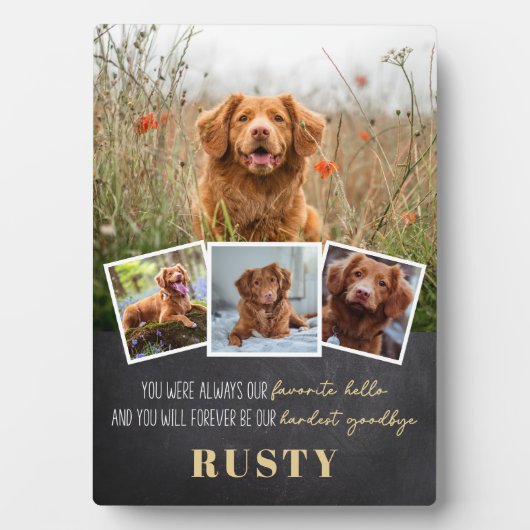 Plaque commémorative pour animal de compagnie préf (Devant)