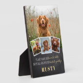 Plaque commémorative pour animal de compagnie préf (Côté)