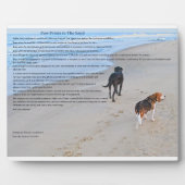 Plaque de 8 po x 10 po avec acier (Devant)