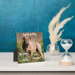 Plaque de Bulldog anglaise avec Easel
