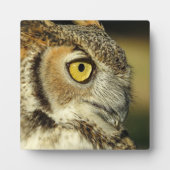 Plaque de bureau Great Horned Owl (Devant)