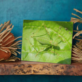 Plaque de camouflage de cricket vert (Côté)