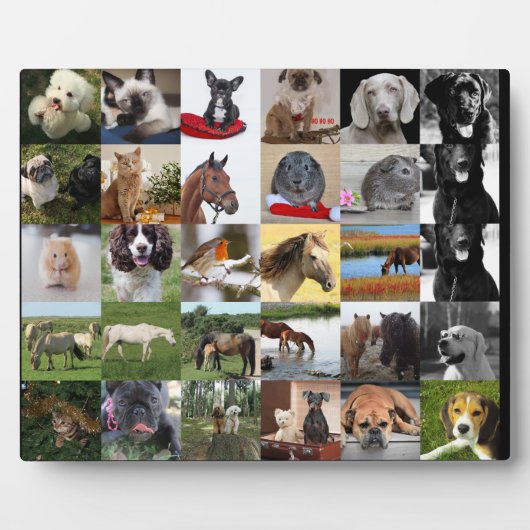 Plaque de colage 30xPhoto - N'IMPORTE QUELLE Occas (Devant)