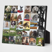 Plaque de colage 30xPhoto - N'IMPORTE QUELLE Occas (Côté)