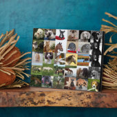 Plaque de colage 30xPhoto - N'IMPORTE QUELLE Occas (Côté)