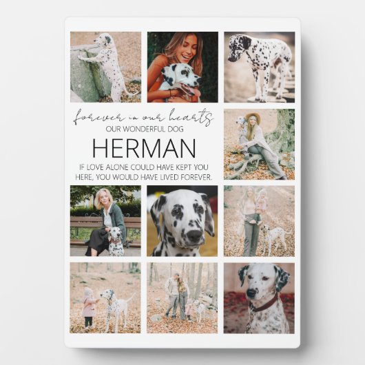 Plaque de collage photo de mémorial d'animal moder (Devant)