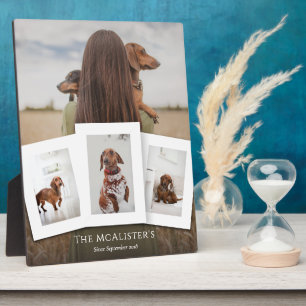 Plaque de collage photo quadruple pour animaux fai